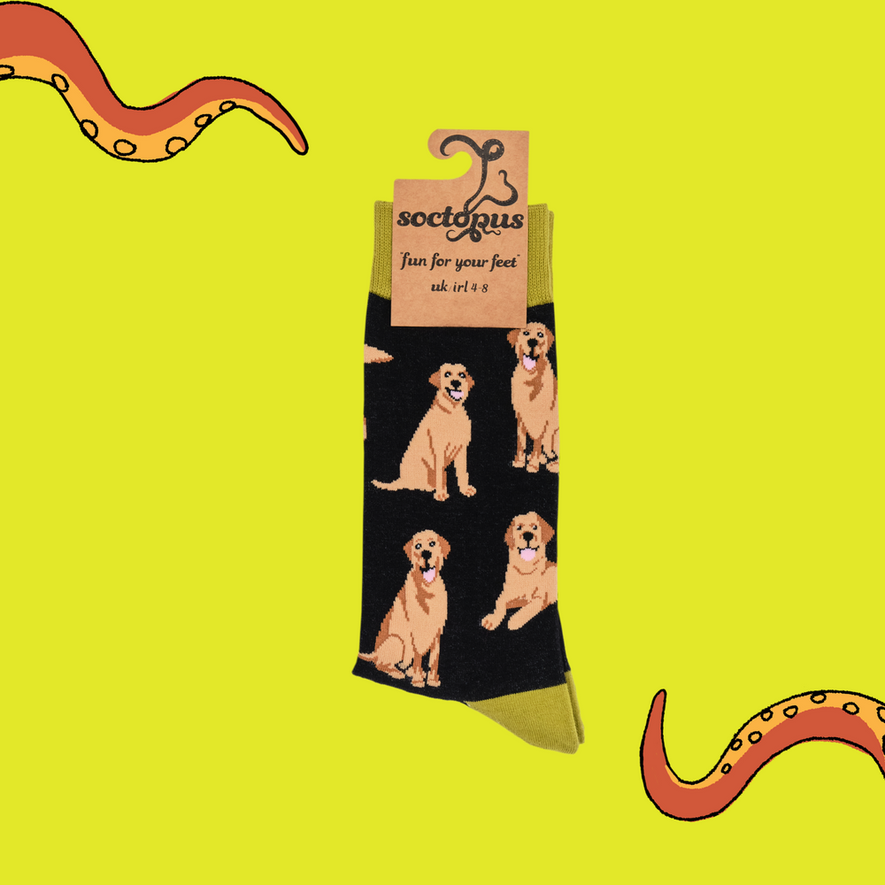 
                  
                    A pair of socks depicting Labrador dogs. Black legs, mustard cuff, heel and toe. In Soctopus Packaging.
                  
                