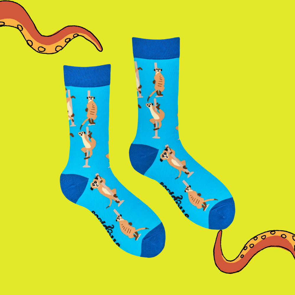 
                      
                        A pair of socks featuring pole dancing meerkats. Light blue legs, dark blue heel, toe and cuff. 
                      
                    