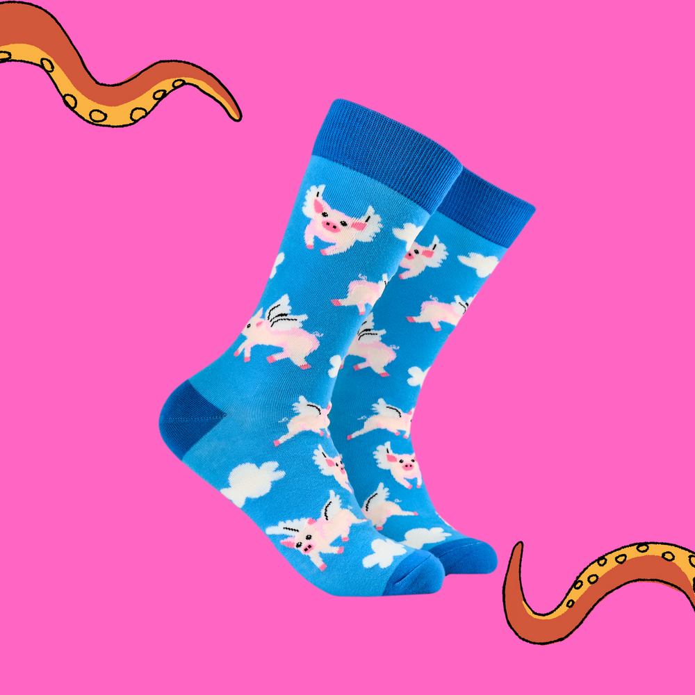 
                      
                        A pair of socks with a flying pig motif. Light blue legs, dark blue heel, toe and cuff. 
                      
                    