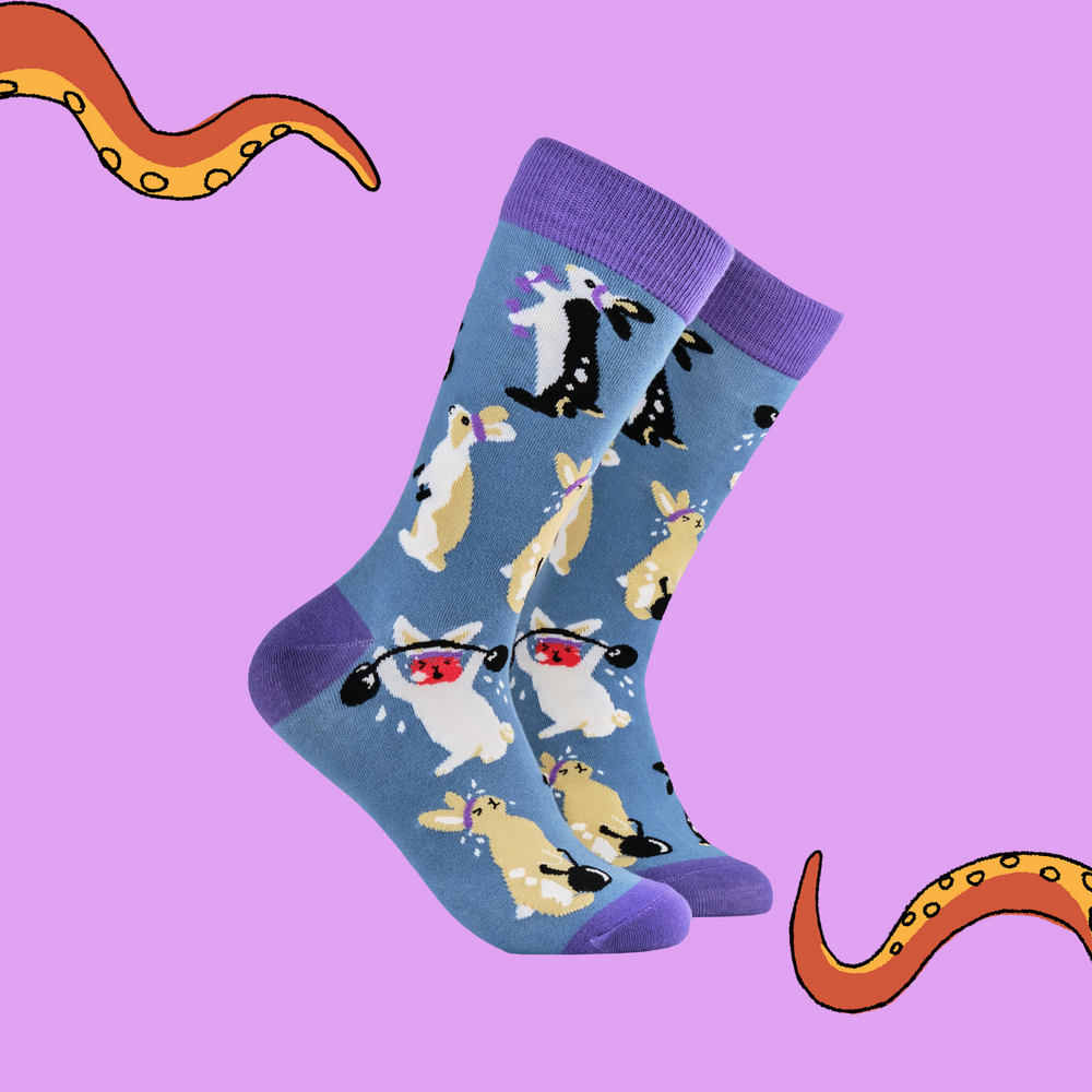 A pair of socks depicting rabbits lifting weights. Blue legs, purple cuff, toe and heel. 