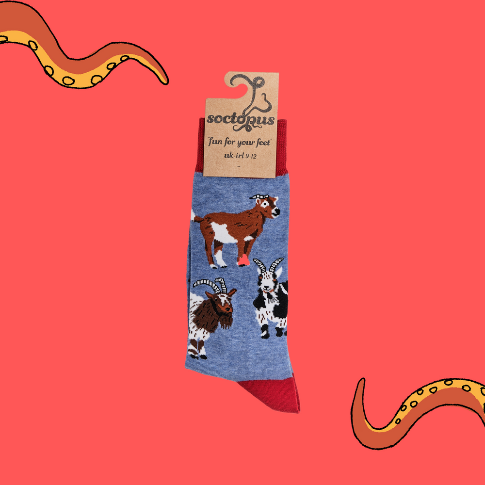 
                      
                        A pair of socks depicting different breeds of goat. Blue legs, red cuff, heel and toe. In Soctopus Packaging.
                      
                    