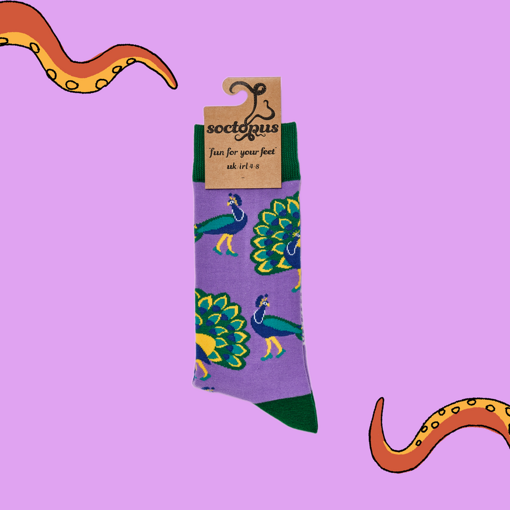 
                      
                        A pair of socks depicting peacocks. Purple legs, green cuff, heel and toe. In Soctopus Packaging.
                      
                    