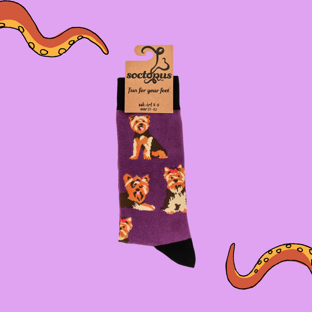 
                      
                        A pair of socks depicting Yorkshire Terriers. Purple legs, black cuff, heel and toe. In Soctopus Packaging.
                      
                    