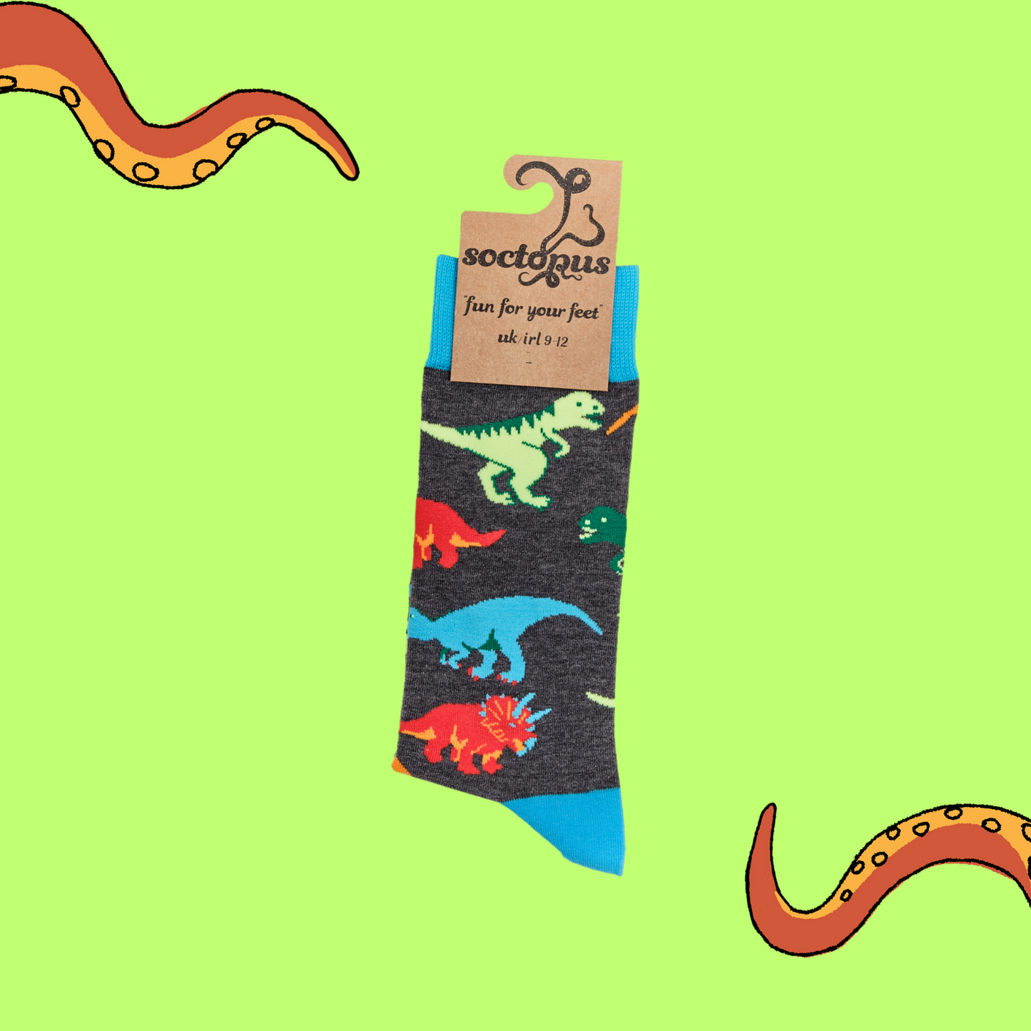 
                  
                    A pair of socks depicting dinosaurs. Grey legs, light blue cuff, heel and toe. In Soctopus Packaging.
                  
                