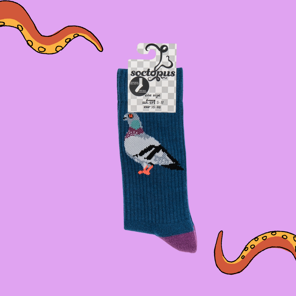 
                  
                    A pair of socks depicting pigeons. Deep blue legs, blue cuff, purple heel and toe. In Soctopus Packaging.
                  
                