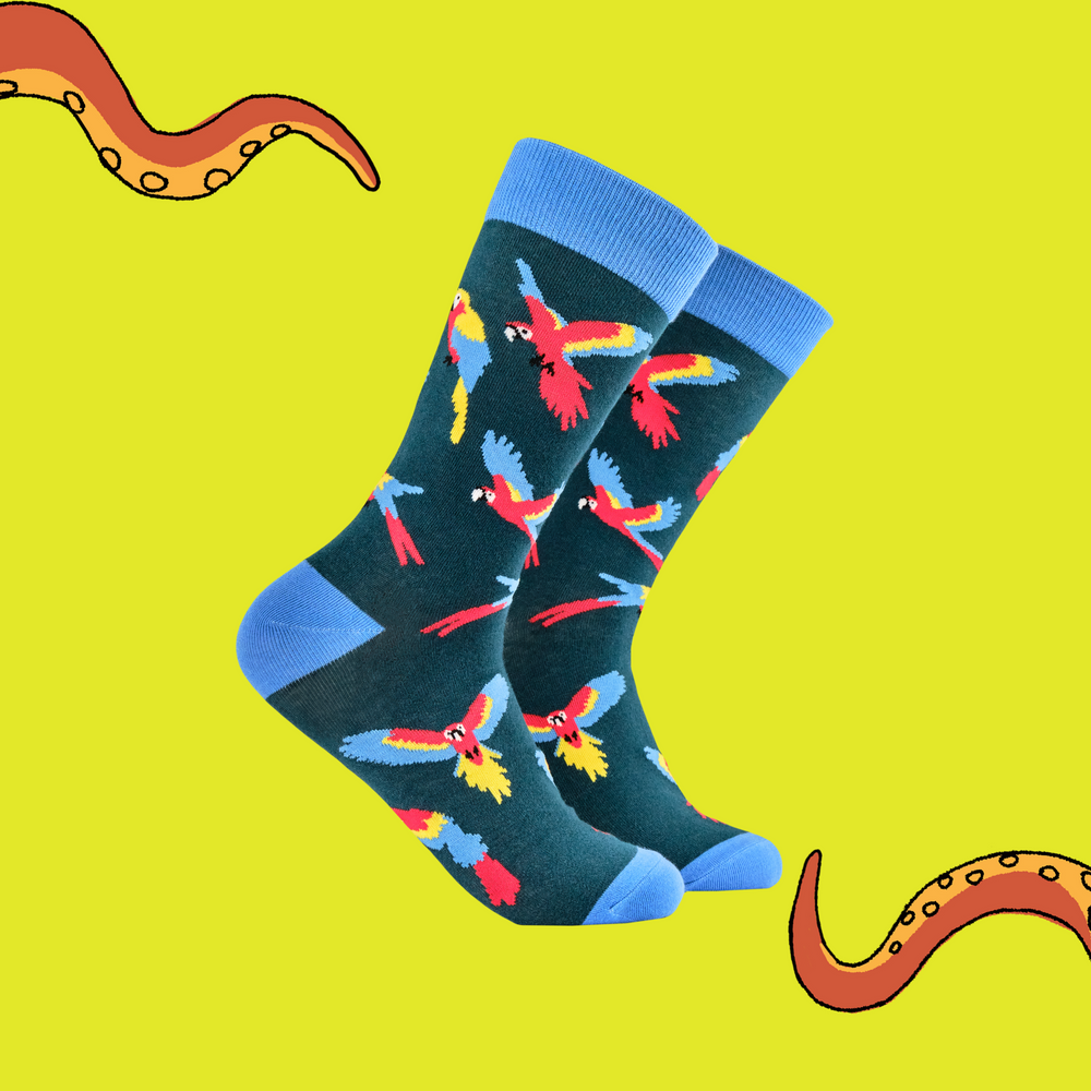 
                      
                        A pair of socks with a parrot motif. Dark blue legs. Bright blue heel, toe and cuff. 
                      
                    