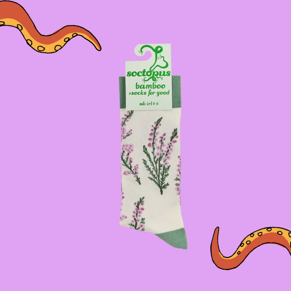 
                      
                        A pair of socks depicting wild heather. Cream legs, green cuff, heel and toe. In Soctopus Packaging.
                      
                    