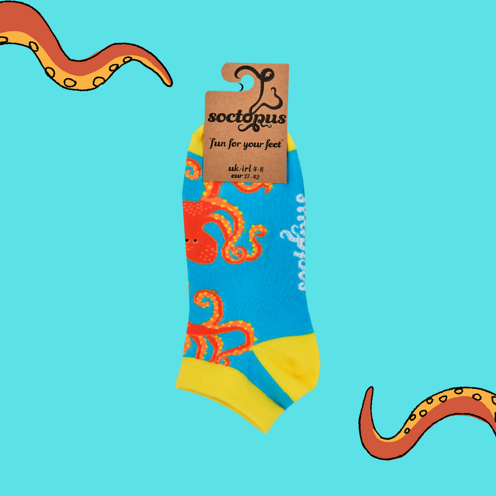 
                      
                        Octopus Socks - Soctopus Trainer Socks
                      
                    