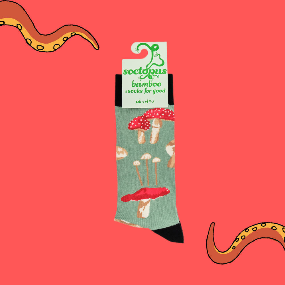 
                  
                    A pair of socks depicting different species of mushroom. Green legs, black cuff, heel and toe. In Soctopus Packaging.
                  
                