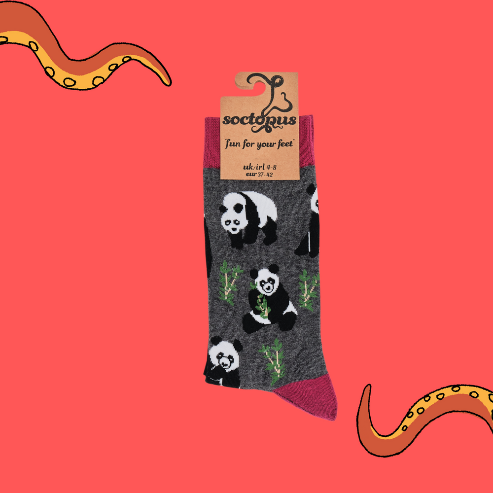 
                  
                    A pair of socks depicting pandas playing in the forest. Grey legs, red cuff, heel and toe. In Soctopus Packaging.
                  
                