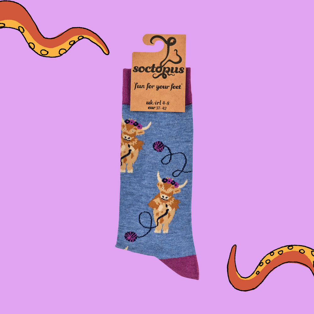 
                      
                        A pair of socks depicting highland cows and balls of yarn. Blue legs, purple cuff, heel and toe. 
                      
                    