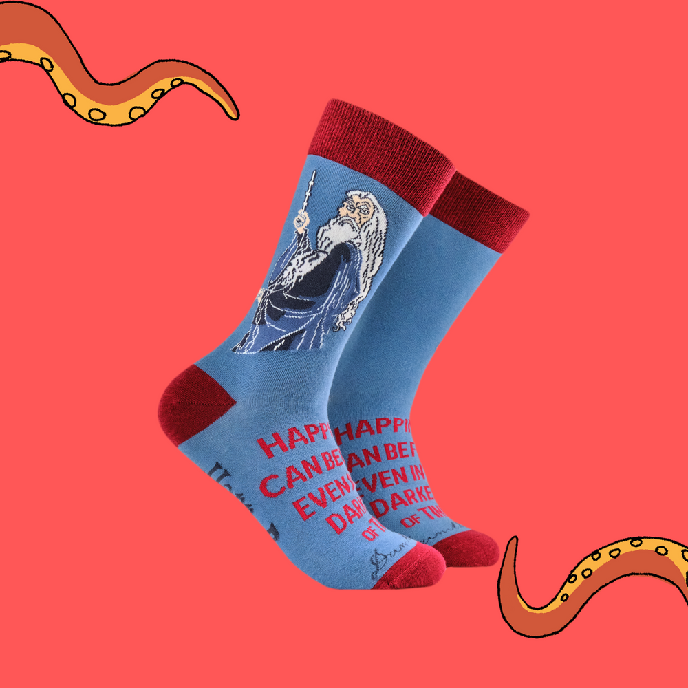 Harry Potter Socks - Dumbledore