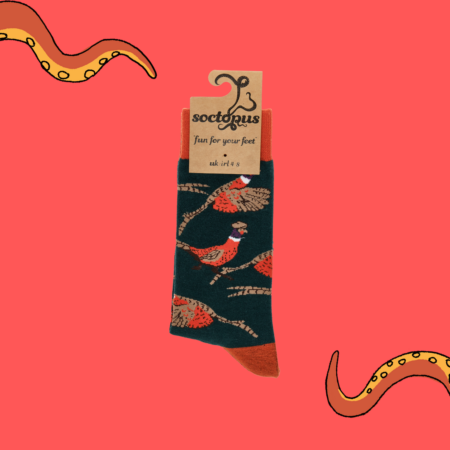 
                  
                    A pair of socks depicting wild pheasants. Green legs, red cuff, heel and toe. In Soctopus Packaging.
                  
                