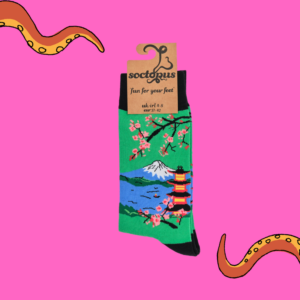 
                      
                        A pair of socks depicting mount fuji and cherry blossom. Green legs, black cuff, heel and toe. In Soctopus Packaging.
                      
                    