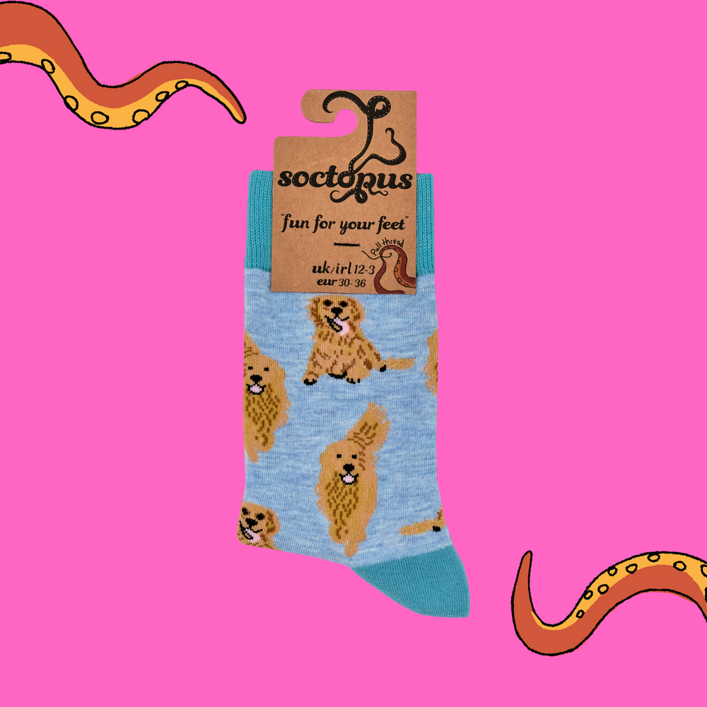 
                  
                    Golden Retriever Socks - I'm A Retriever
                  
                