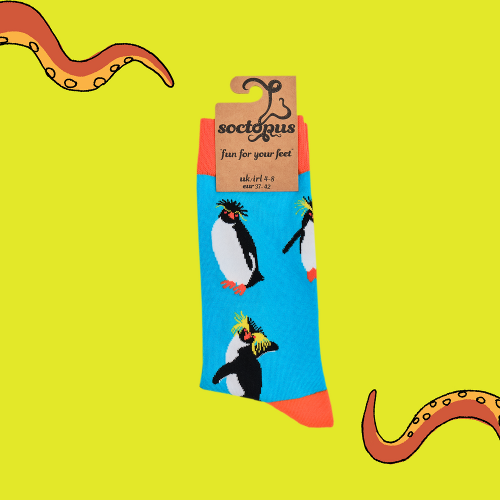 
                  
                    A pair of socks depicting rock hopper penguins. Bright legs, orange cuff, heel and toe. In Soctopus Packaging.
                  
                