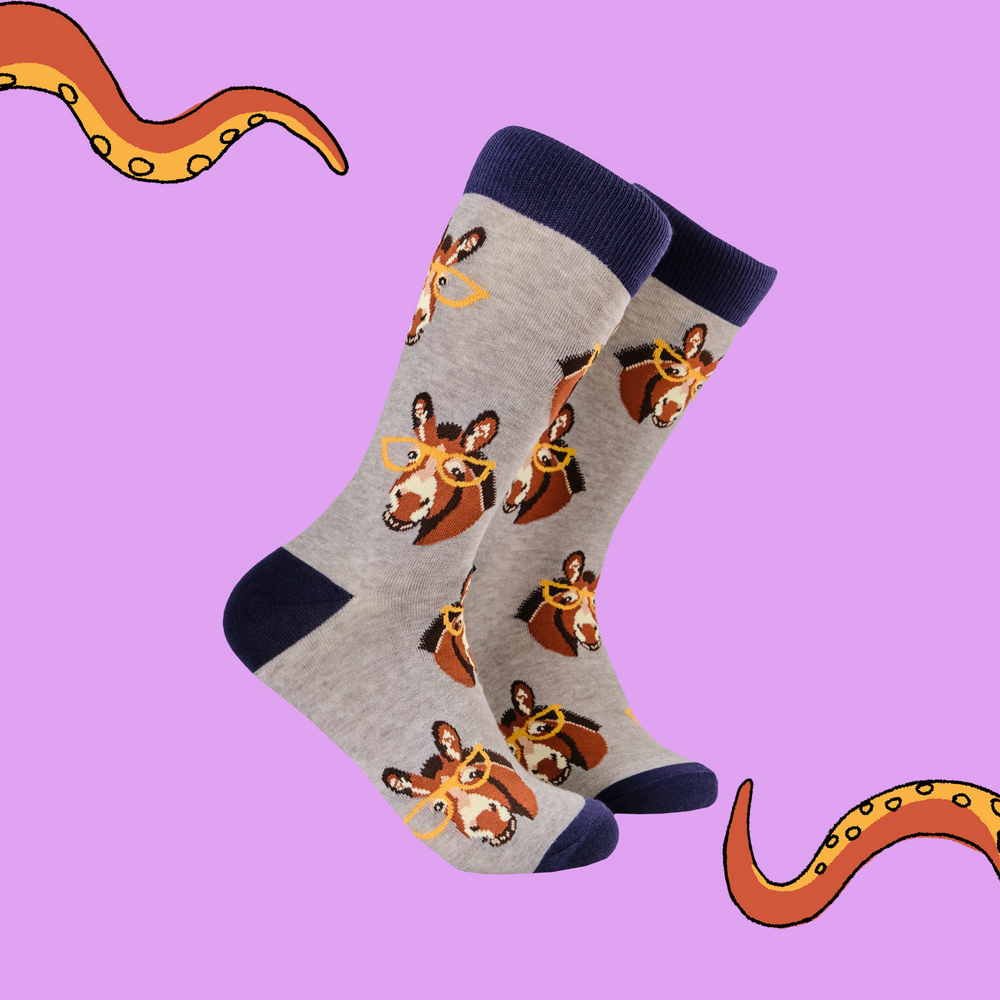 Donkey Socks - Smart Ass