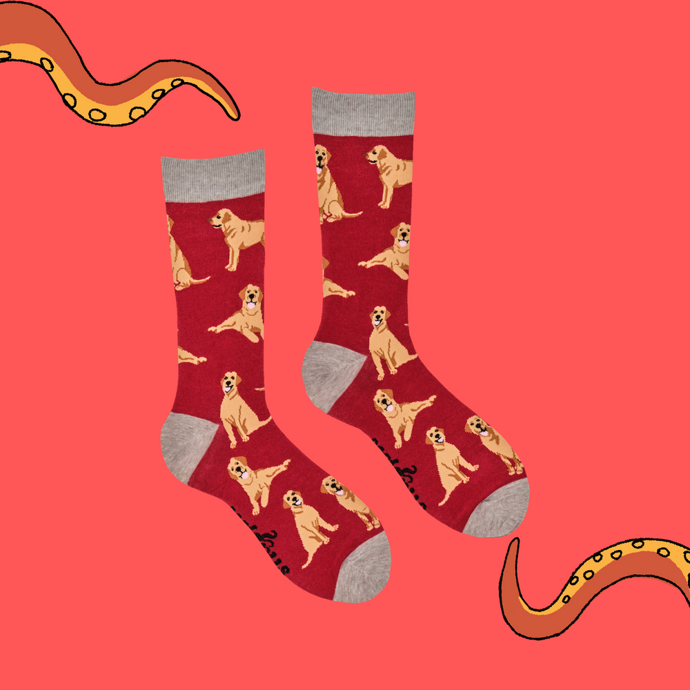 
                      
                        Labrador Retriever Socks - Labradorable
                      
                    