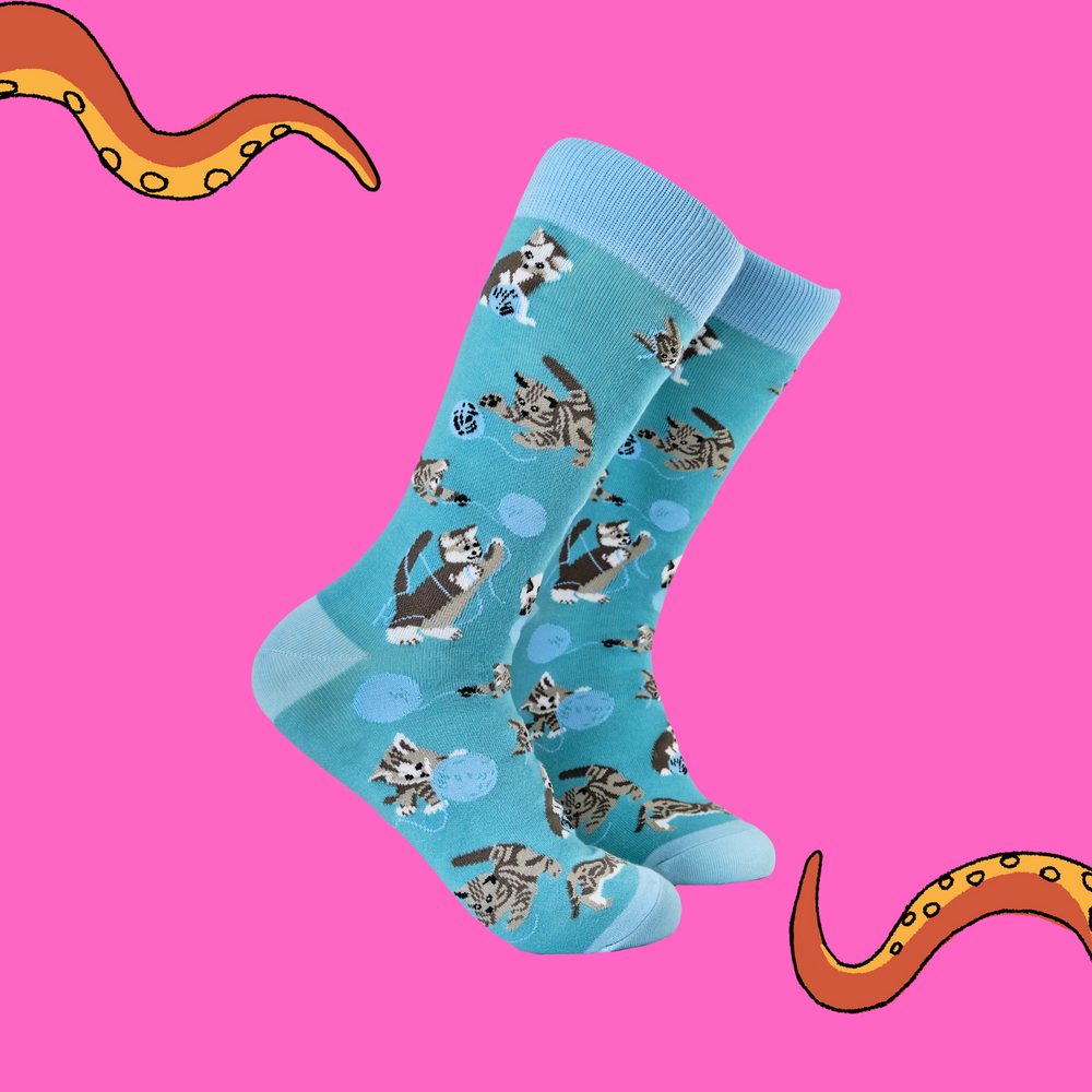 Cats and Wool Socks