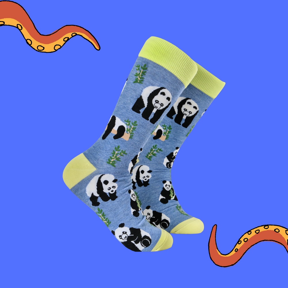 
                      
                        Panda Socks - Stu-Pandous
                      
                    