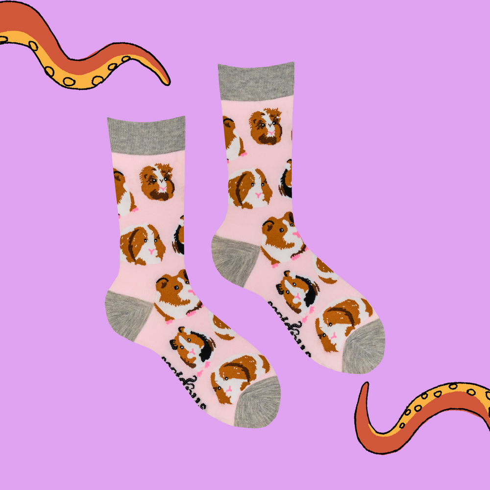 
                      
                        Guinea Pig Socks - I Am Not A Hamster
                      
                    