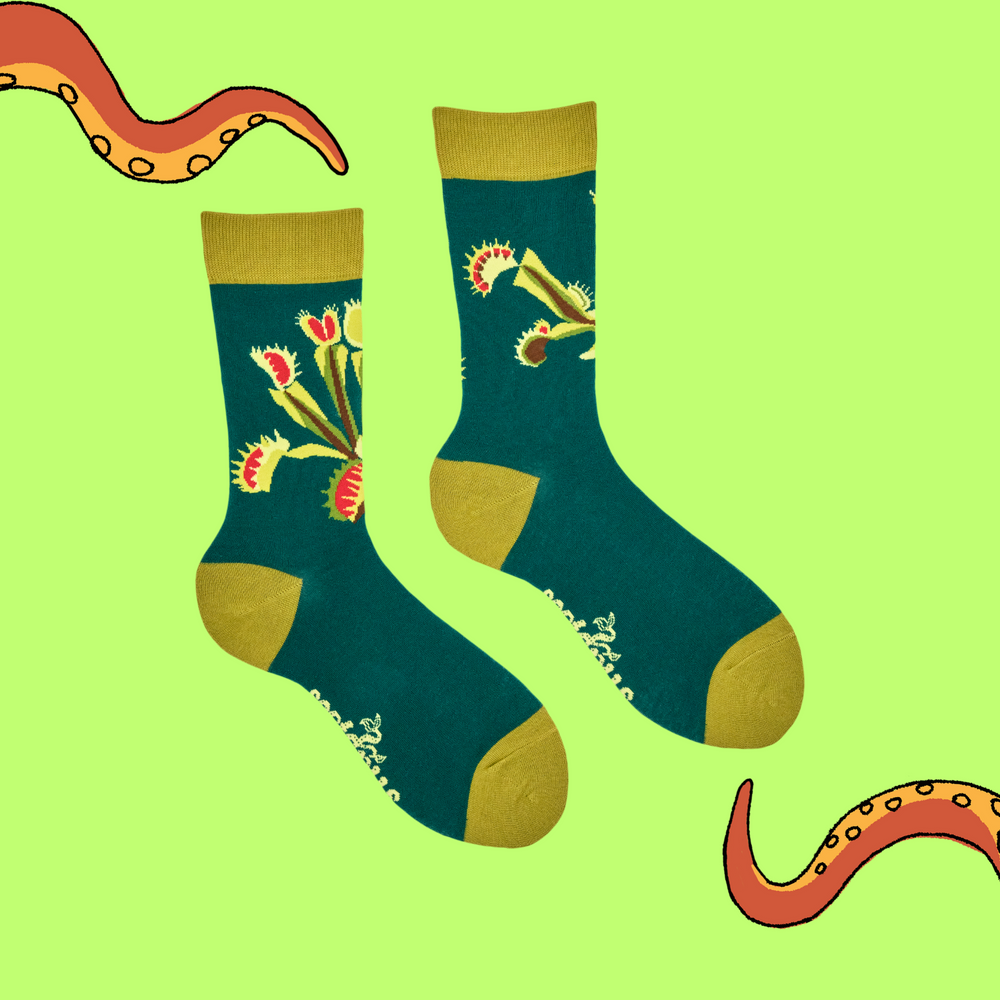 
                      
                        Venus Fly Trap Bamboo Socks
                      
                    