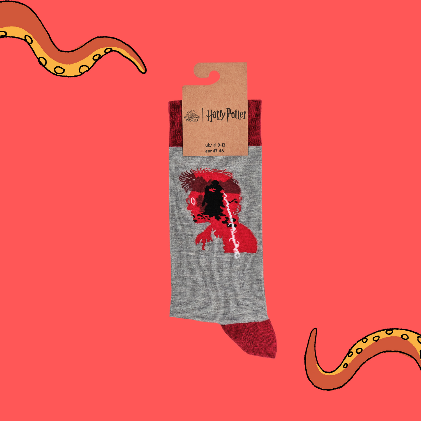 
                  
                    A pair of socks depicting Lord Voldemort. Grey legs, red cuff, heel and toe. In Soctopus Packaging.
                  
                