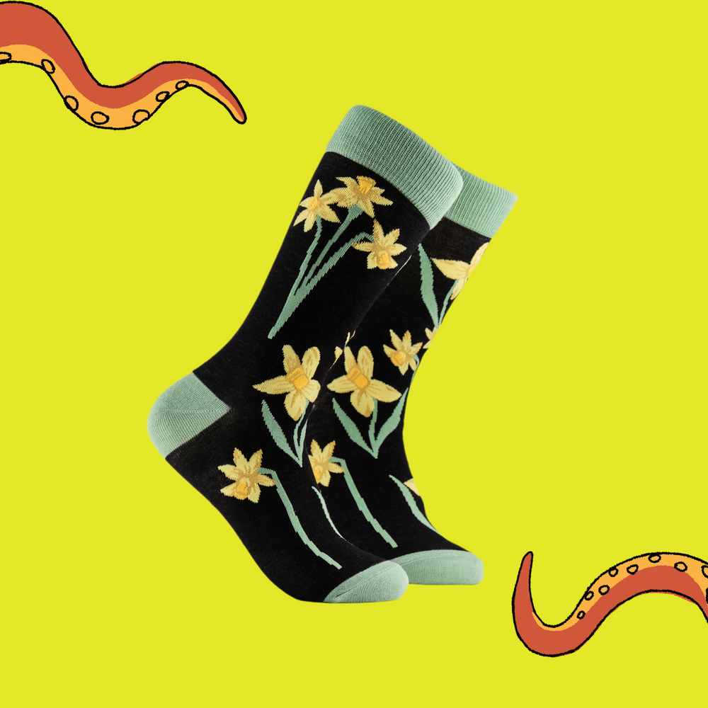 A pair of socks depicting daffodils. Black legs, light green cuff, heel and toe.