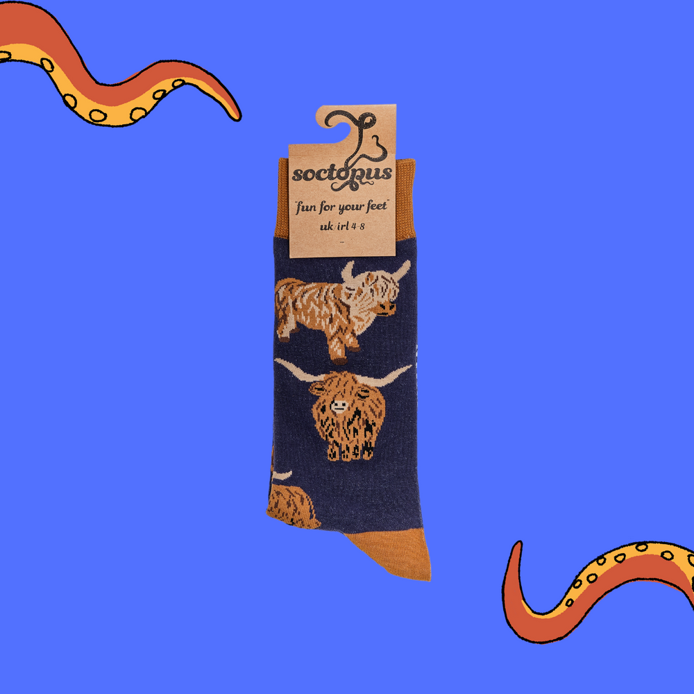 
                      
                        A pair of socks depicting highland cows. Blue legs, brown cuff, heel and toe. In Soctopus Packaging.
                      
                    