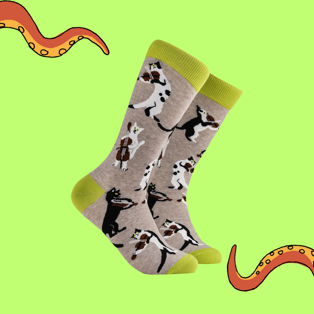 A pair of socks depicting cats playing string instruments. Grey legs, green heel toe and cuff. 