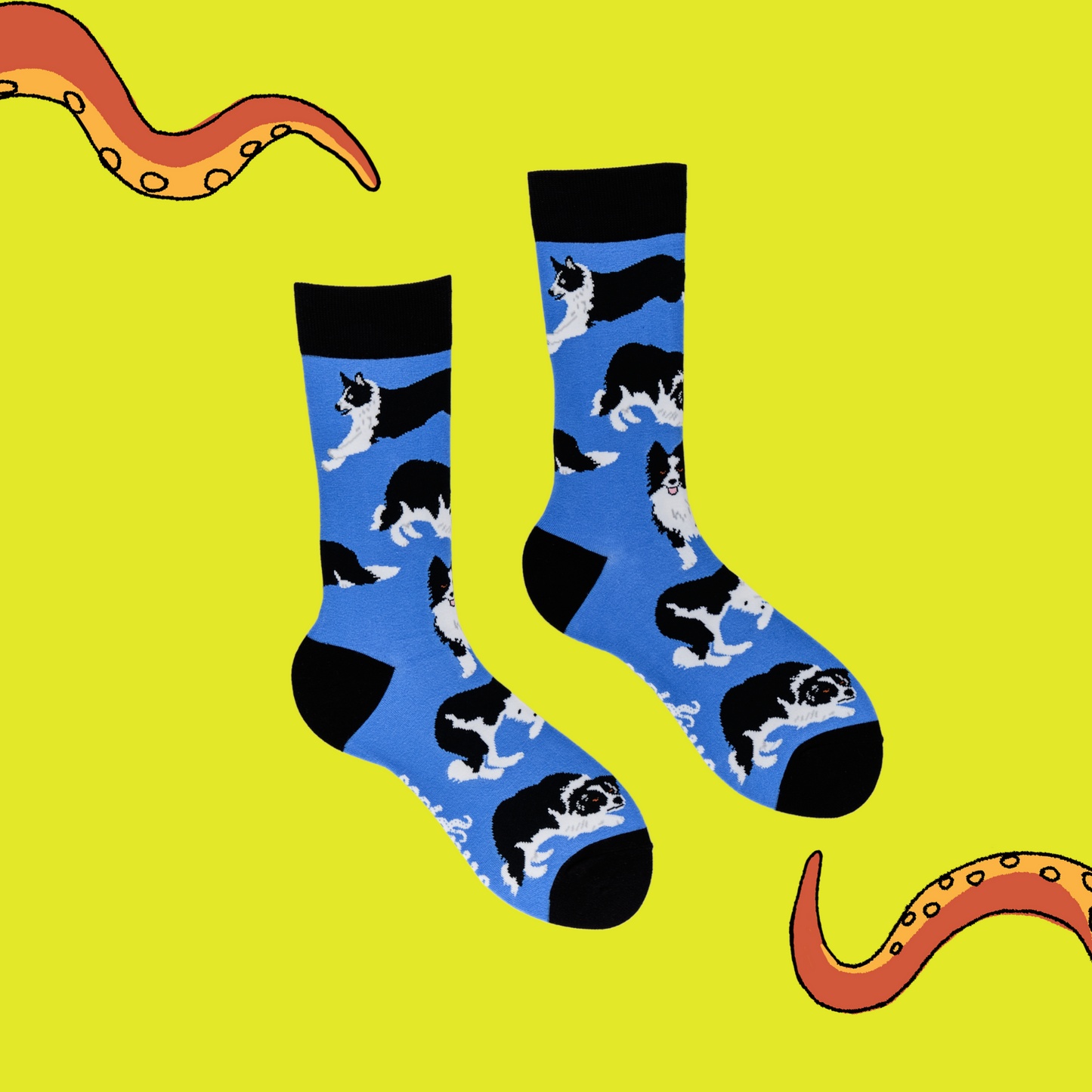 
                  
                    A pair of socks depicting Border collie dogs. Deep Blue legs, black cuff, heel and toe.
                  
                