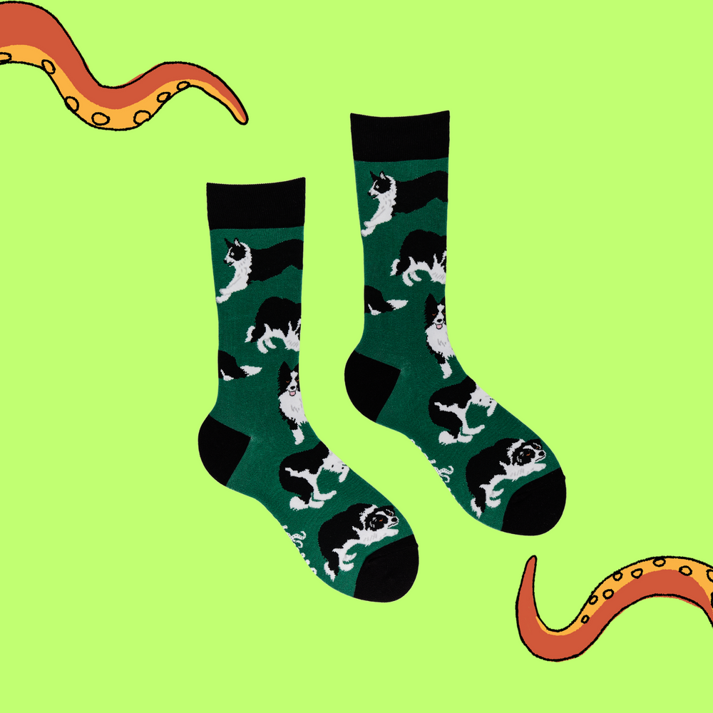 
                  
                    A pair of socks depicting Border collie dogs. Deep Green legs, black cuff, heel and toe.
                  
                