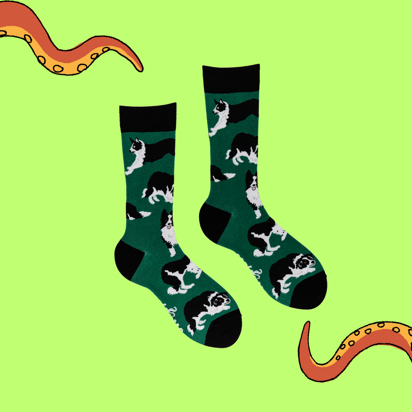 
                  
                    A pair of socks depicting Border collie dogs. Deep Green legs, black cuff, heel and toe.
                  
                