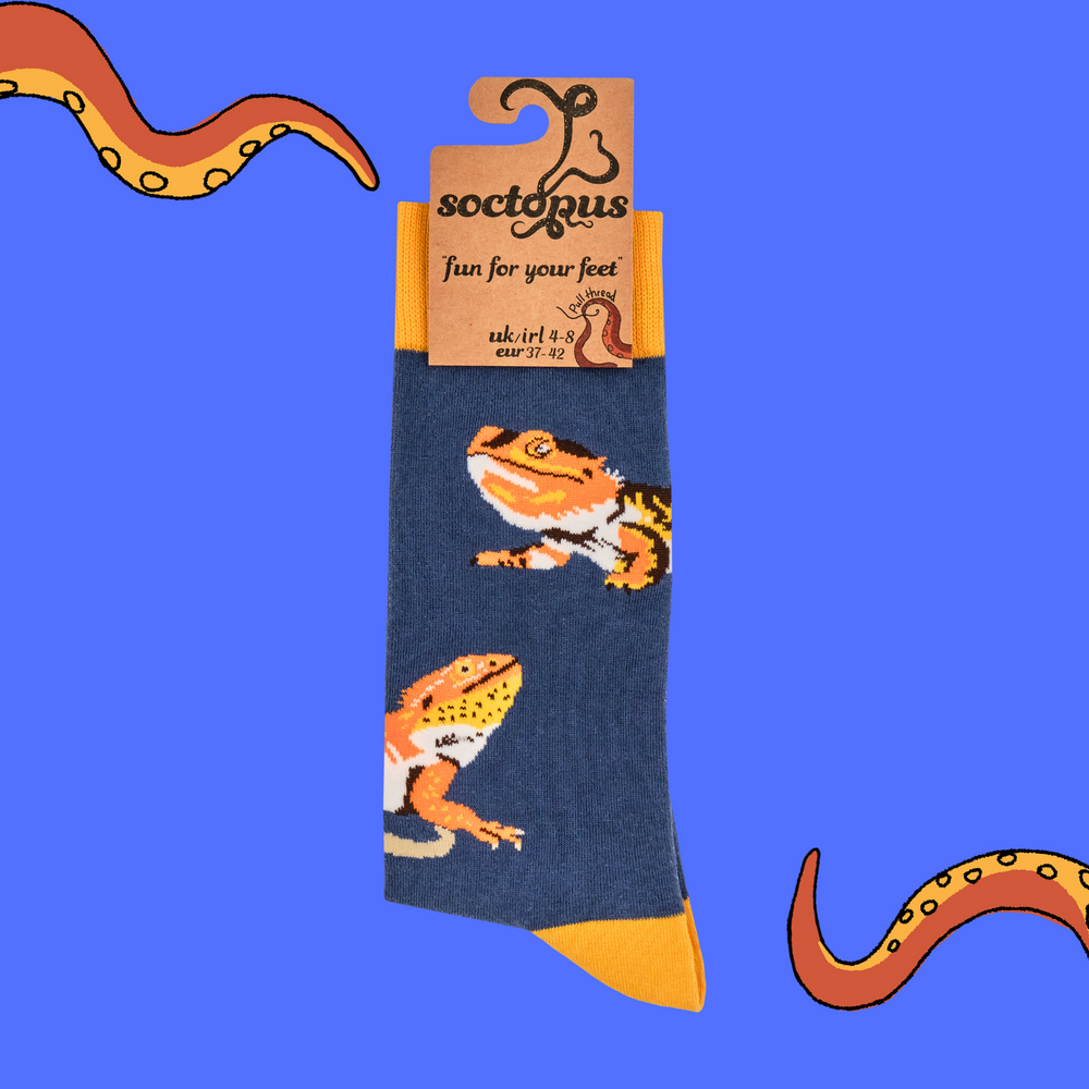 
                      
                        Bearded Dragon Socks
                      
                    