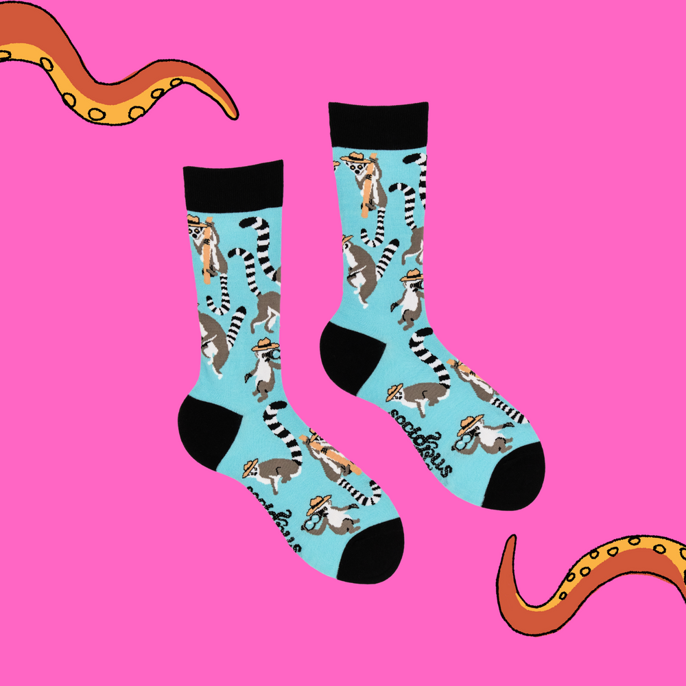 
                      
                        A pair of socks depicting Lemurs being detectives. Light blue legs, black cuff, heel and toe.
                      
                    