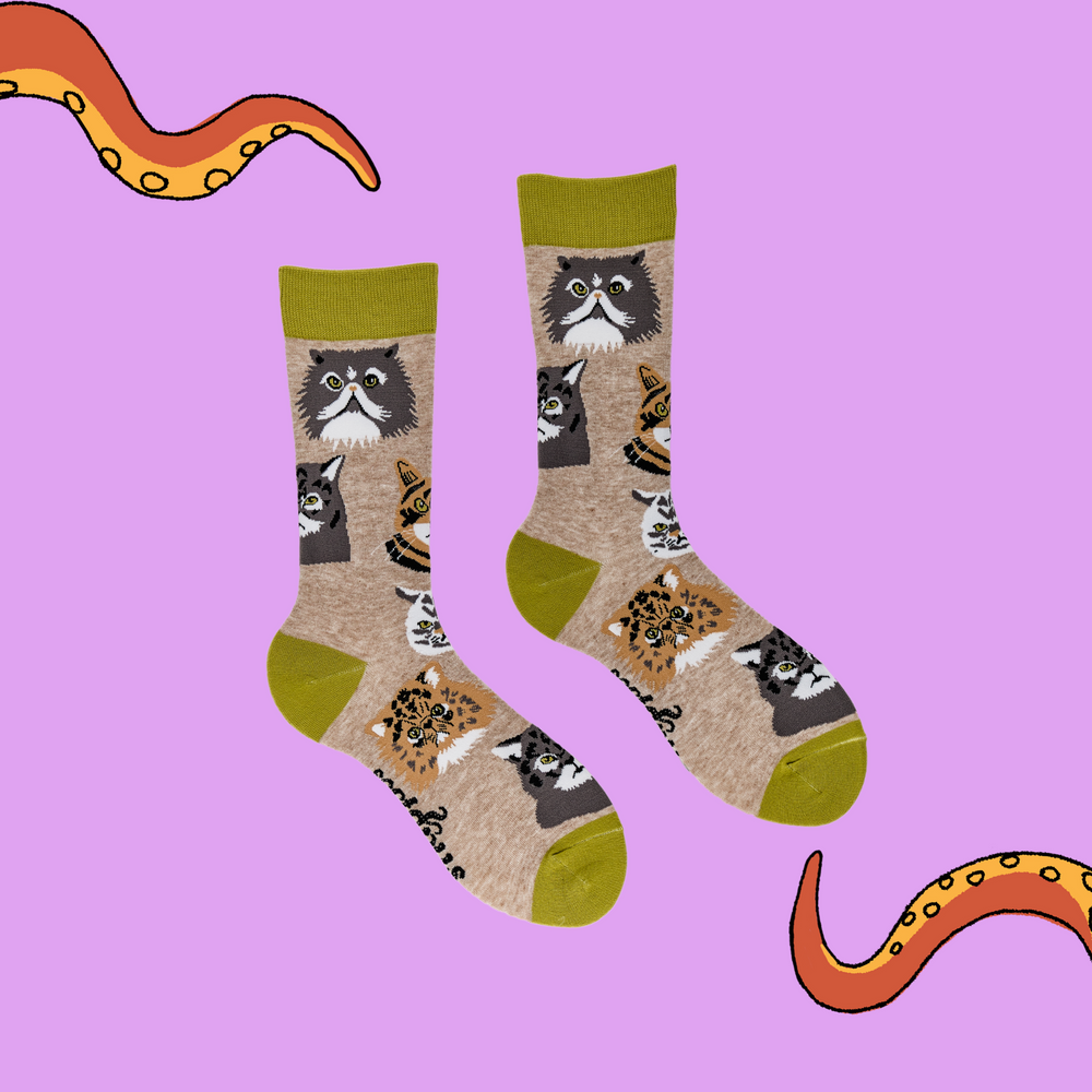 
                      
                        A pair of socks depicting various grumpy cats. Light brown legs, green cuff, heel and toe.
                      
                    