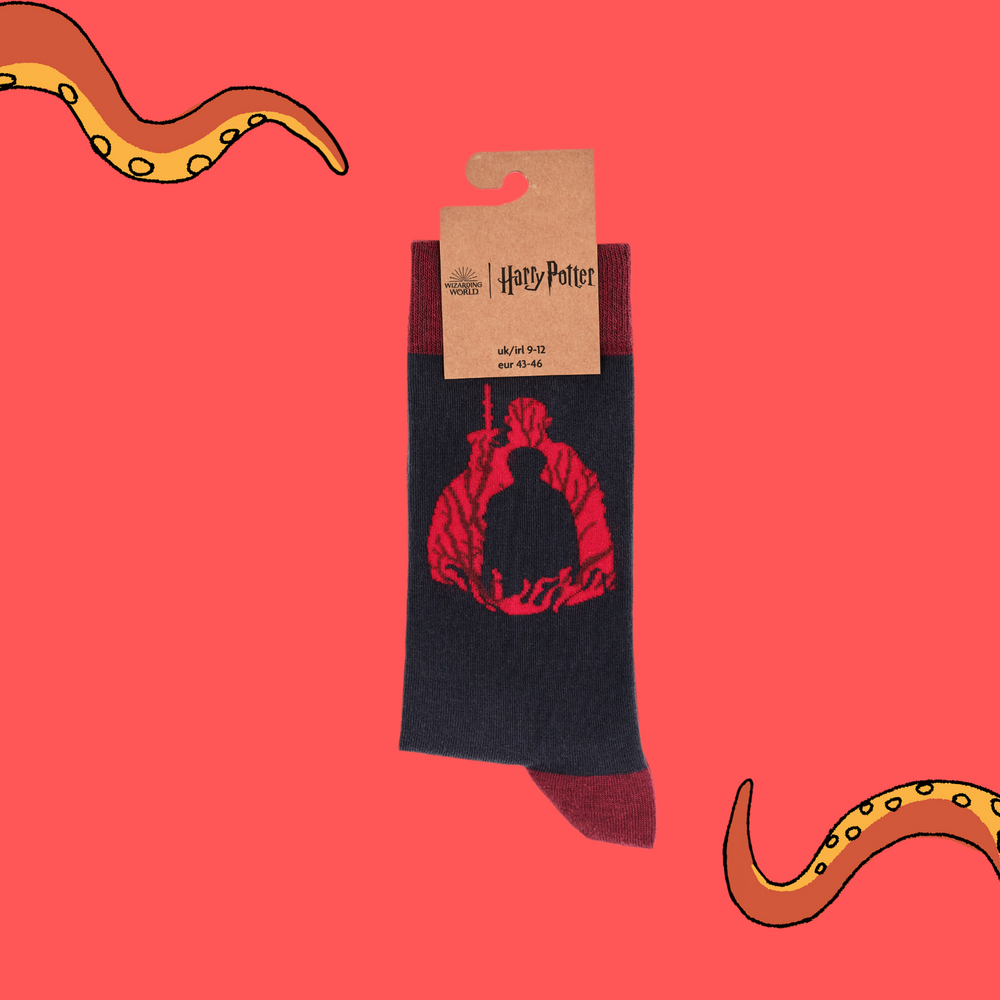 
                      
                        A pair of socks depicting scenes from Harry Potter. Grey legs, red cuff, heel and toe. In Soctopus Packaging.
                      
                    