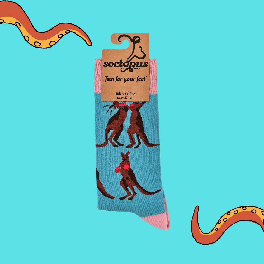 
                      
                        A pair of socks featuring a pair of boxing kangaroos. Bright blue legs, bright pink cuff, heel and toe. 
                      
                    