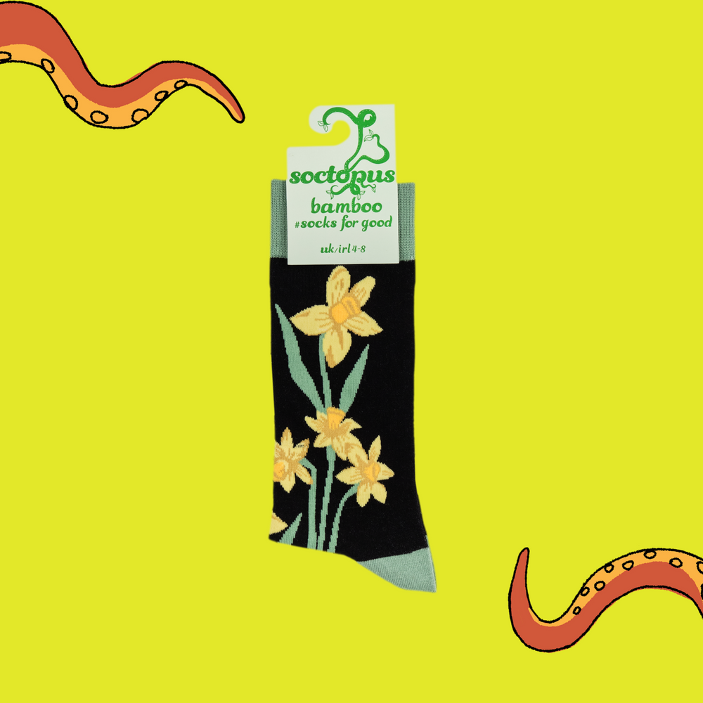 
                      
                        A pair of socks depicting daffodils. Black legs, light green cuff, heel and toe. In Soctopus Packaging.
                      
                    