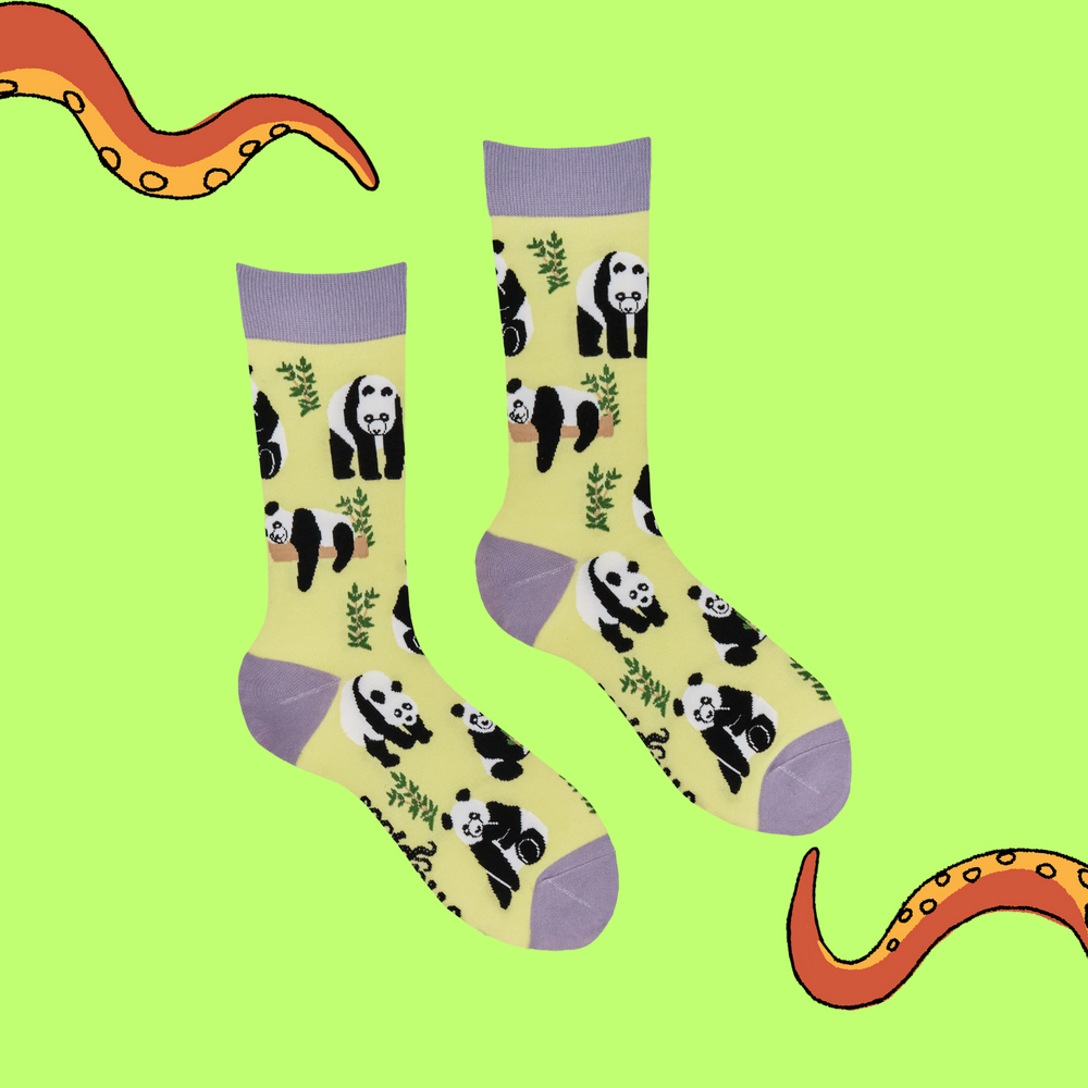 
                      
                        Panda Socks - Stu-Pandous
                      
                    