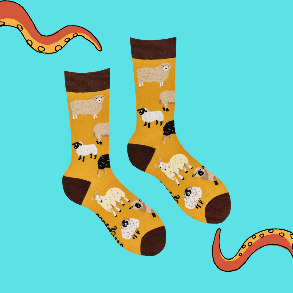 
                      
                        Sheep Lover Socks
                      
                    