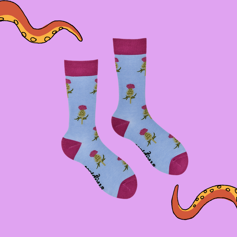 
                      
                        A pair of socks depicting thistles. Blue legs, pink cuff, heel and toe.
                      
                    