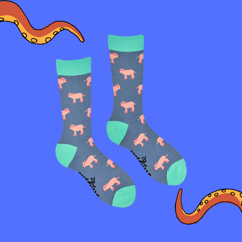 
                      
                        Piglets Bamboo Socks
                      
                    