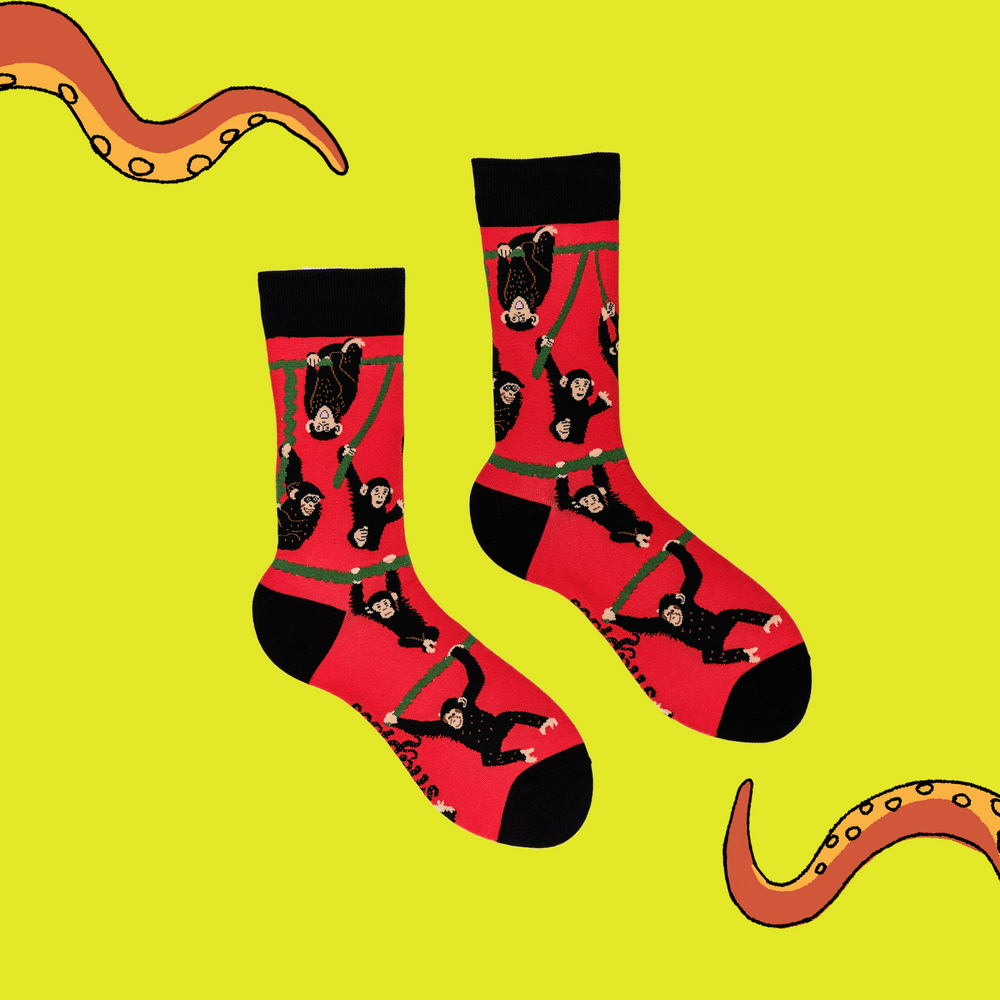 
                      
                        A pair of socks depicting playful chimpanzees. Red legs, black cuff, heel and toe.
                      
                    