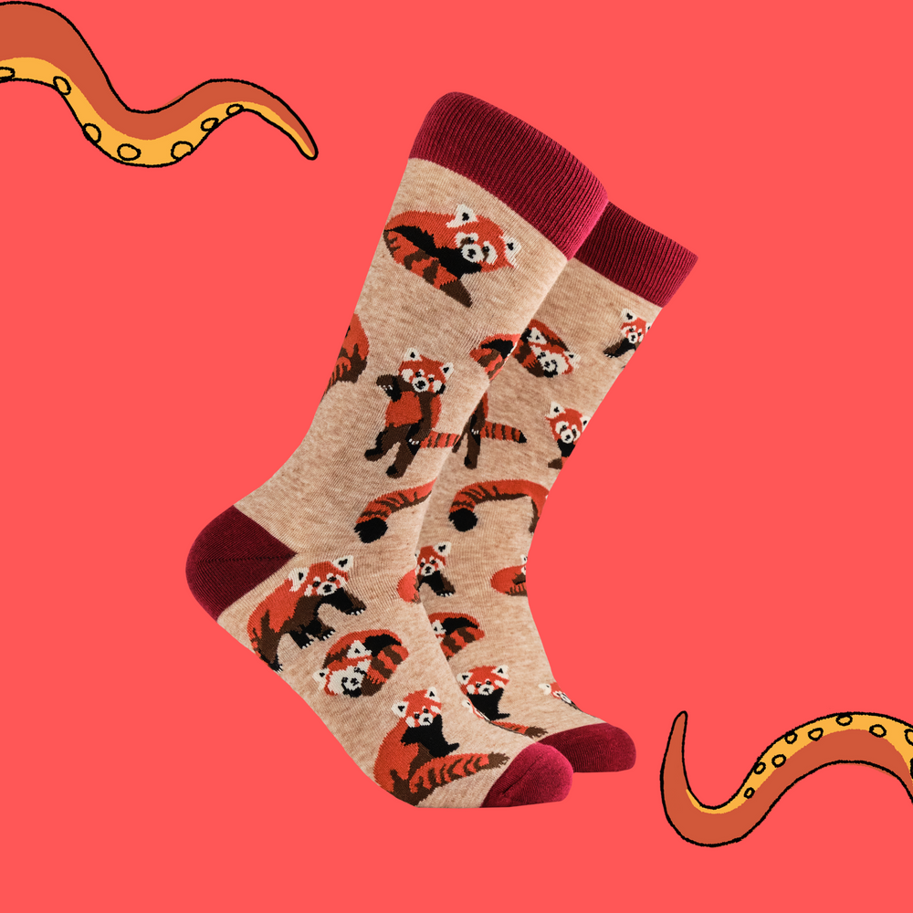 
                      
                        A pair of socks depicting cute little red pandas. Brown legs, red heel, toe and cuff. 
                      
                    