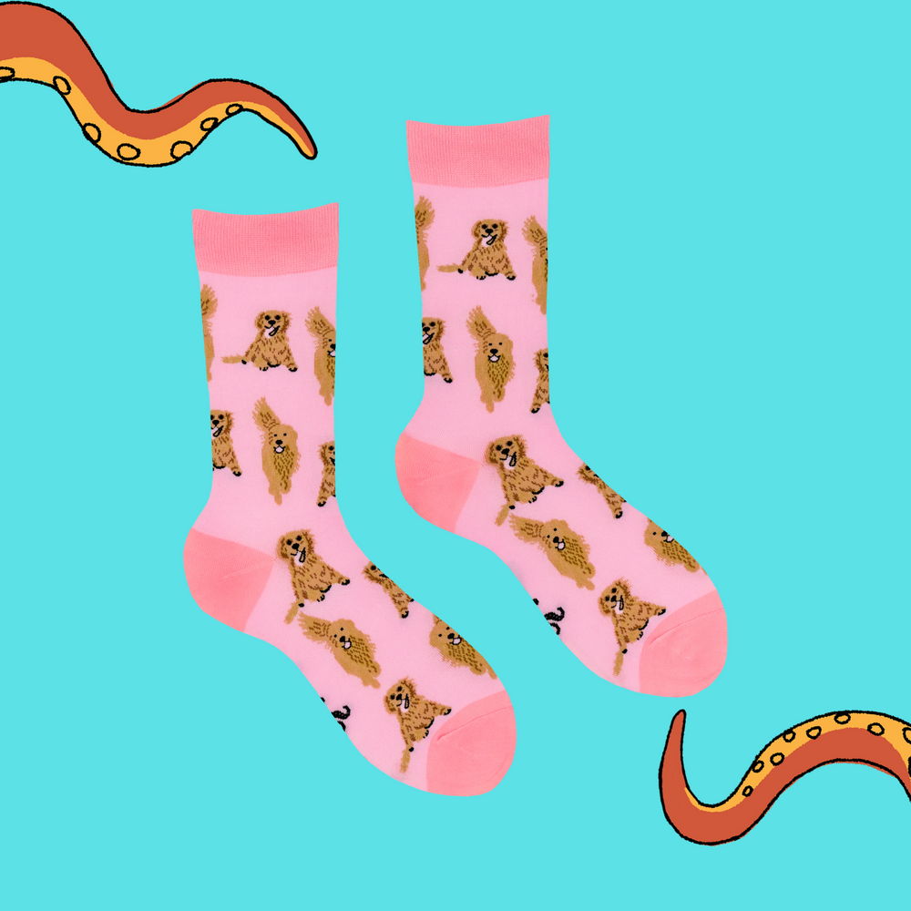 
                  
                    Golden Retriever Socks - I'm A Retriever
                  
                