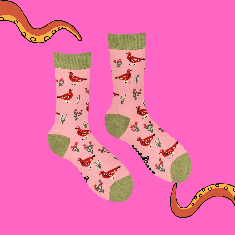 
                      
                        A pair of socks featuring a grouse motif. Pink legs, green heel, toe and cuff. 
                      
                    