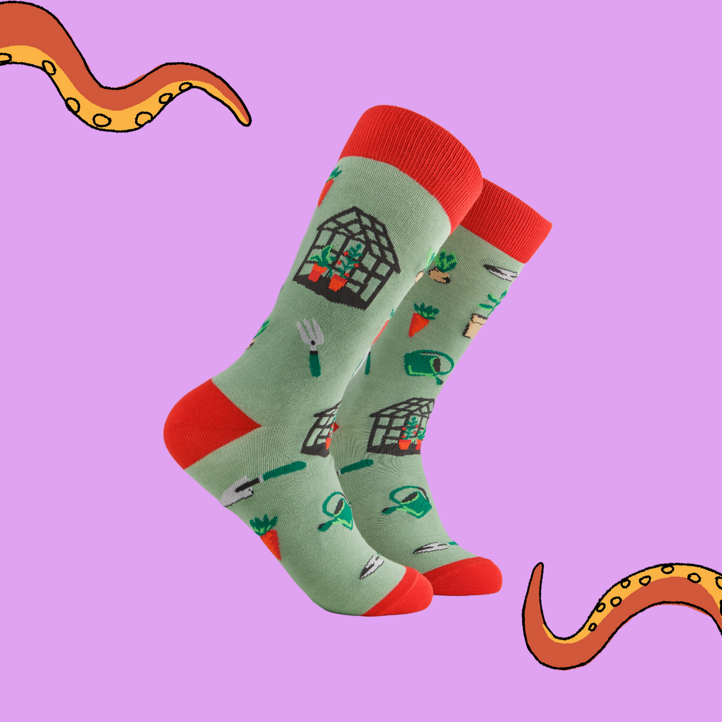 A pair of socks depicting garden tools and greenhouses. Green legs, red cuff, heel and toe.