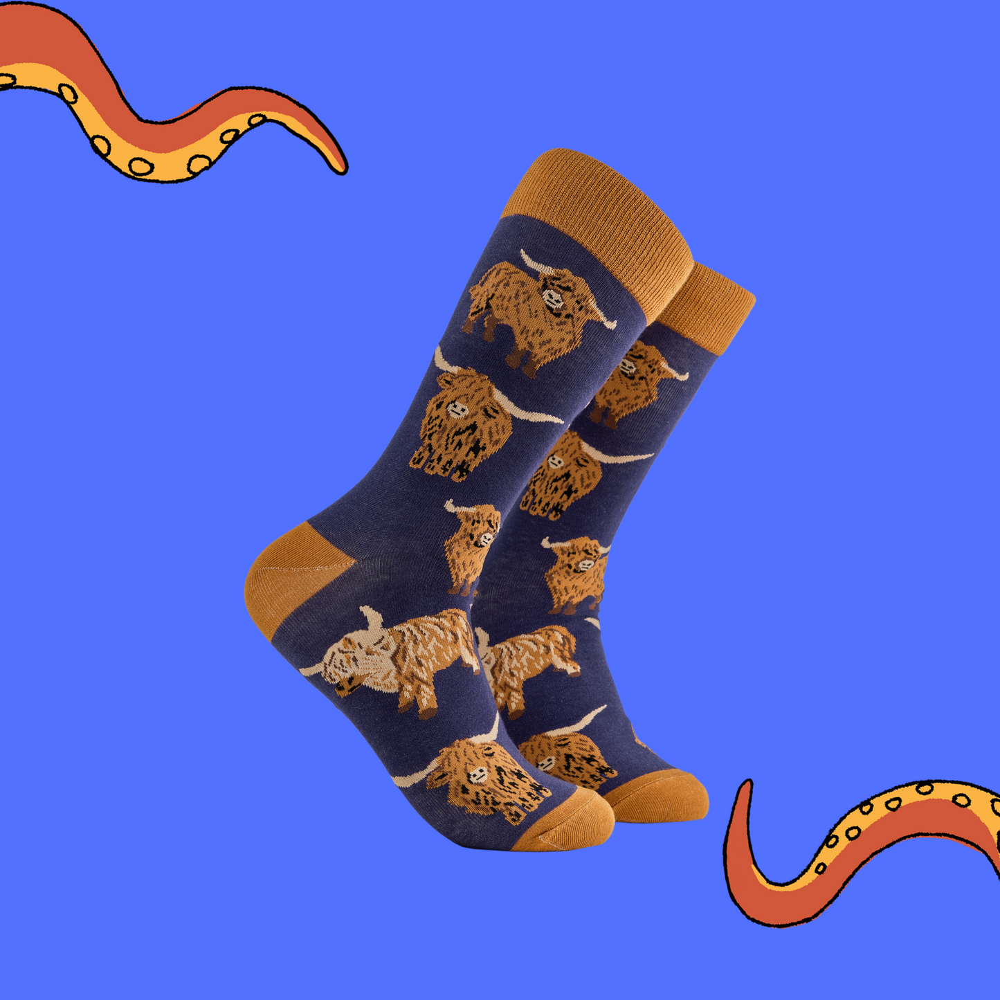 A pair of socks depicting highland cows. Blue legs, brown cuff, heel and toe.