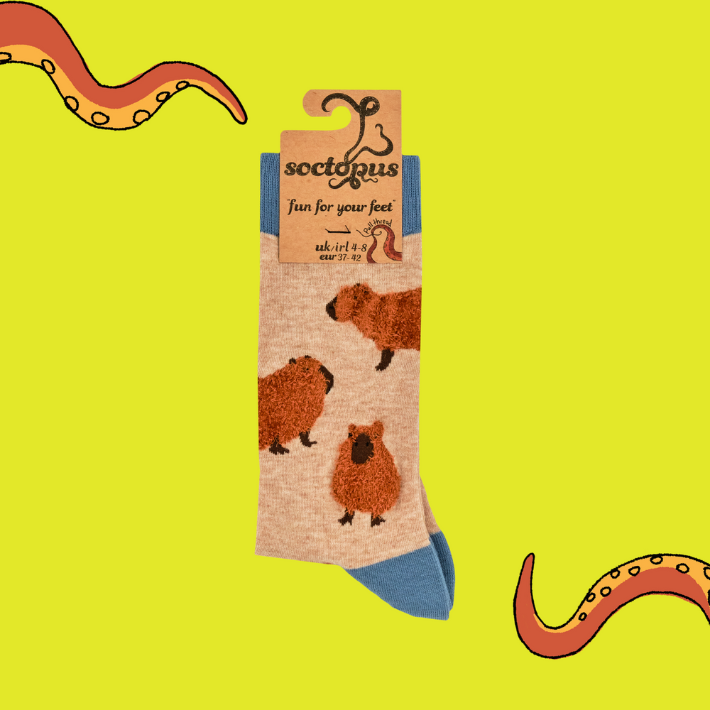 
                      
                        A pair of socks featuring fluffy Capybaras. Brown legs, blue heel, toe and cuff. 
                      
                    